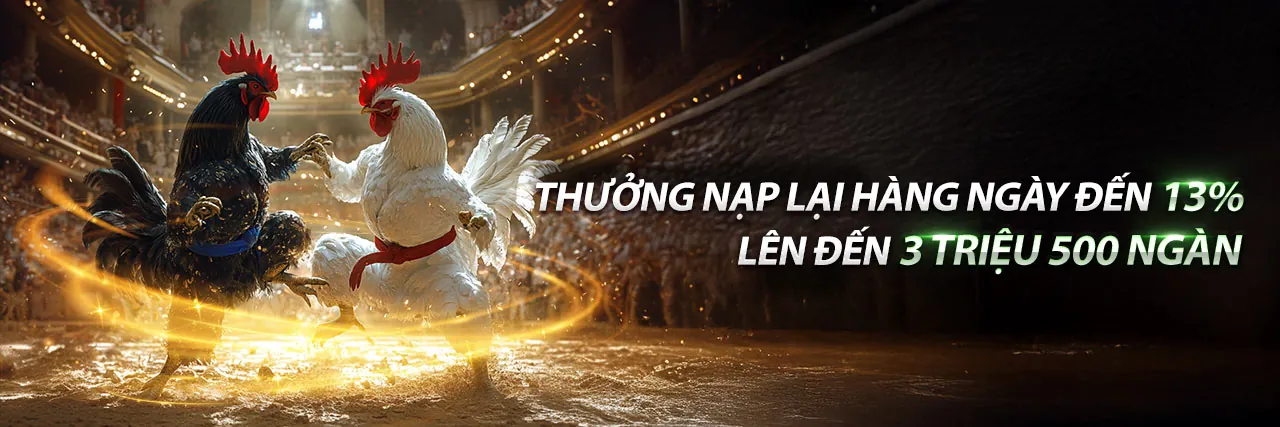 Sàn đấu gà chọi chuyên nghiệp tại kèo bóng đá 88